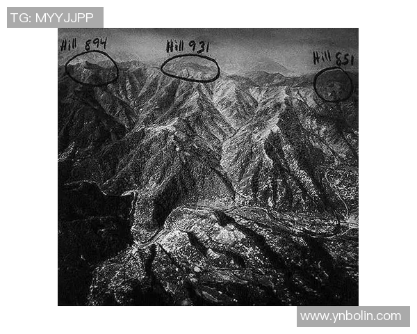 武汉排球队防反战术深度解析与实战应用探讨